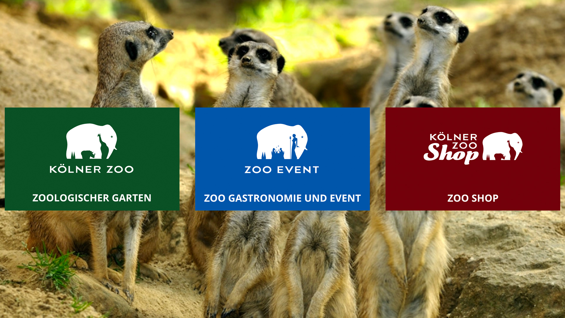 Kölner Zoo